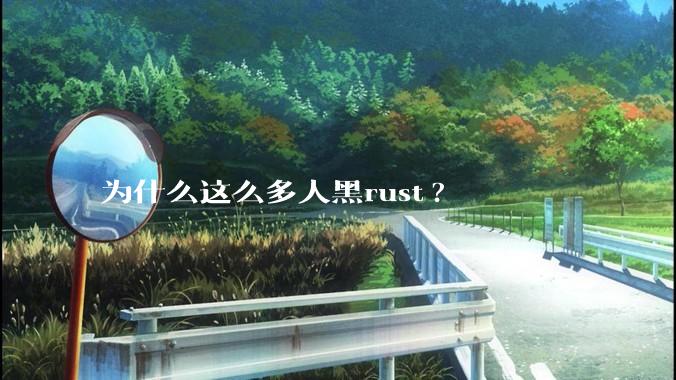 为什么这么多人黑rust?