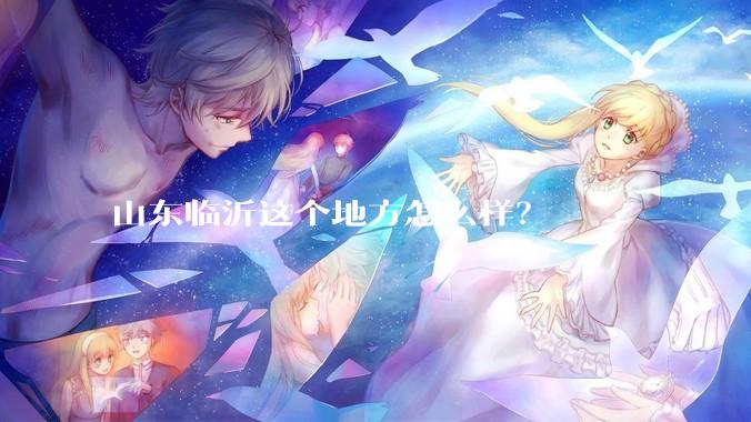 山东临沂这个地方怎么样？