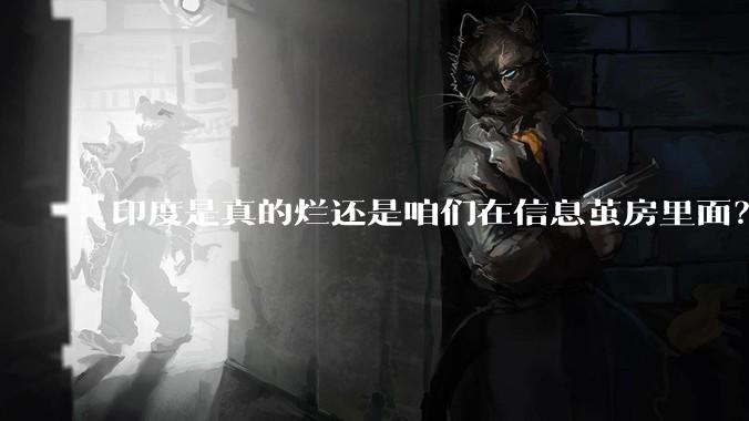 印度是真的烂还是咱们在信息茧房里面？